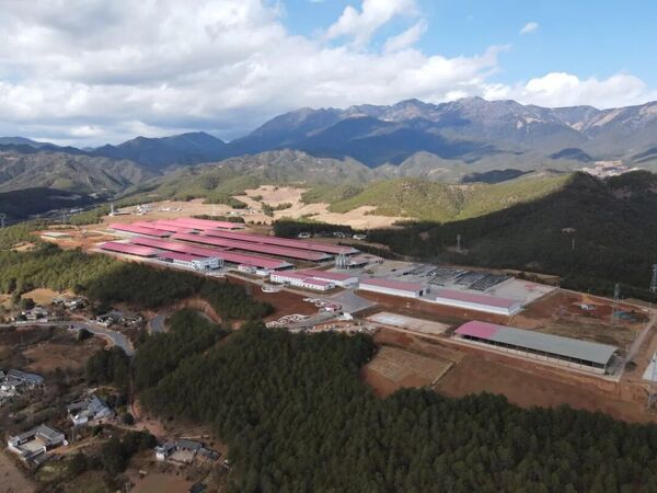 助扶3.jpg 助扶3.jpg