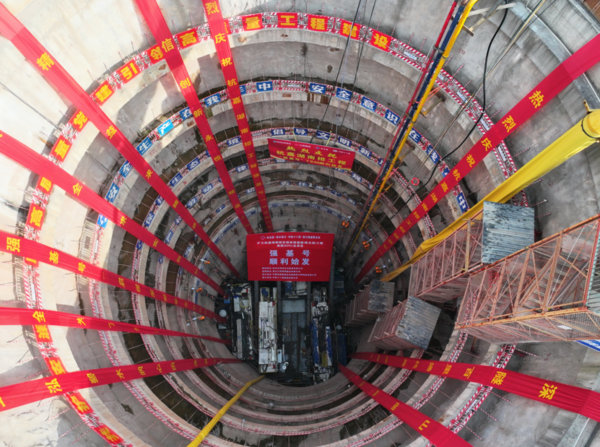 强基号2.png 强基号2.png